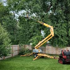 Mulching Services in West Peoria, IL