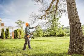 Lawn Renovation and Restoration in West Peoria, IL